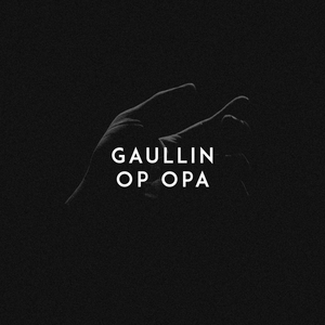 经典柳州门视频
